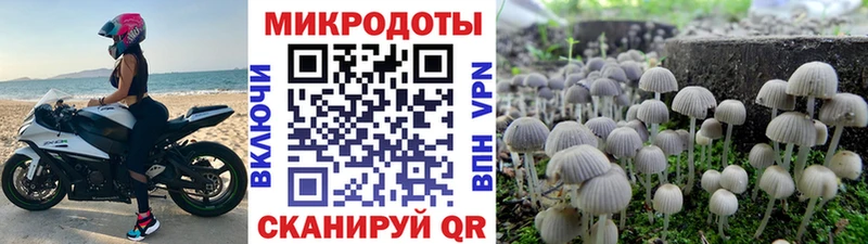 Псилоцибиновые грибы мухоморы  Кола 